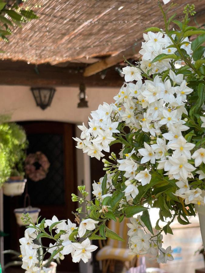 La Bricola Hotel Cavallino-Treporti Kültér fotó